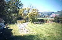 garden at forgetmenot cottage