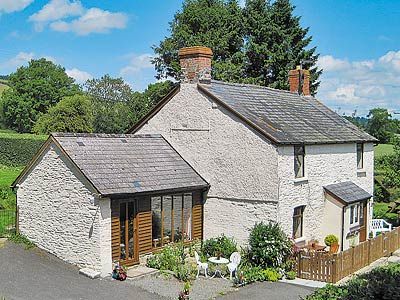 picture forget me not cottage