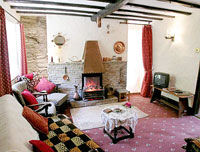 picture of Forget me not lounge