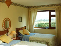 picture of new twin in White House cottage